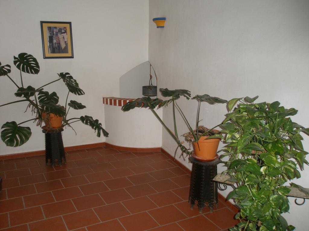 Hotel Passagem Do Sol Moura Extérieur photo
